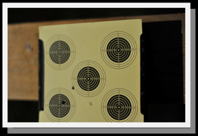 Pistol shooting 400x275