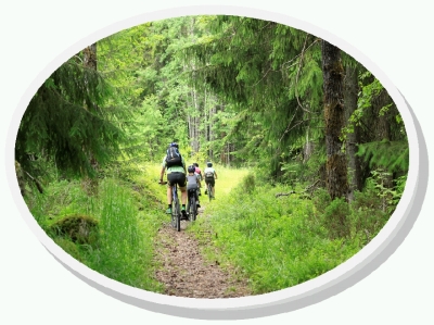 mountainbike1 400x299